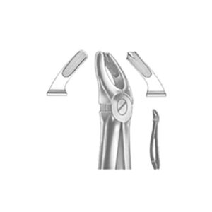 Extracting Forceps English Pattern