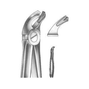 Extracting Forceps English Pattern
