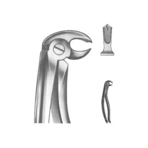 Extracting Forceps English Pattern