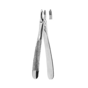 Extracting Forceps English Pattern