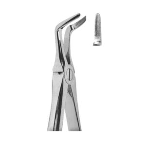 Extracting Forceps English Pattern