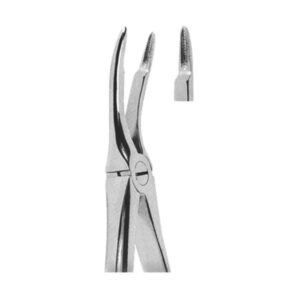 Extracting Forceps English Pattern