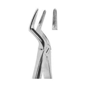 Extracting Forceps English Pattern