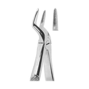 Extracting Forceps English Pattern