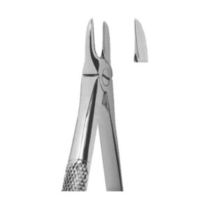 Extracting Forceps English Pattern
