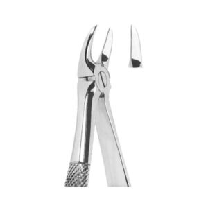 Extracting Forceps English Pattern
