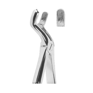 Extracting Forceps English Pattern