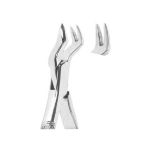 Tooth Extracting Forceps(American)