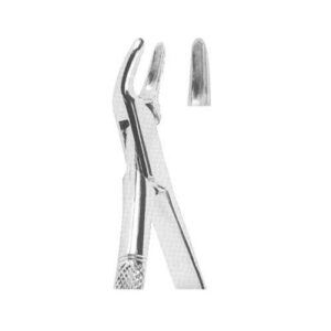 Tooth Extracting Forceps(American)