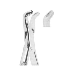 Tooth Extracting Forceps(American)